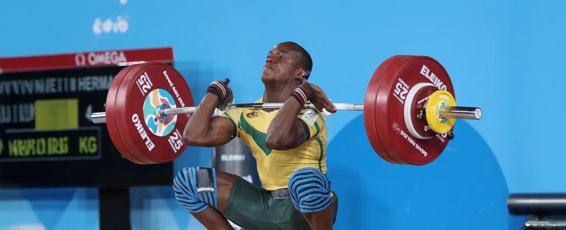 From Structural Balance to Medical Exercise Science